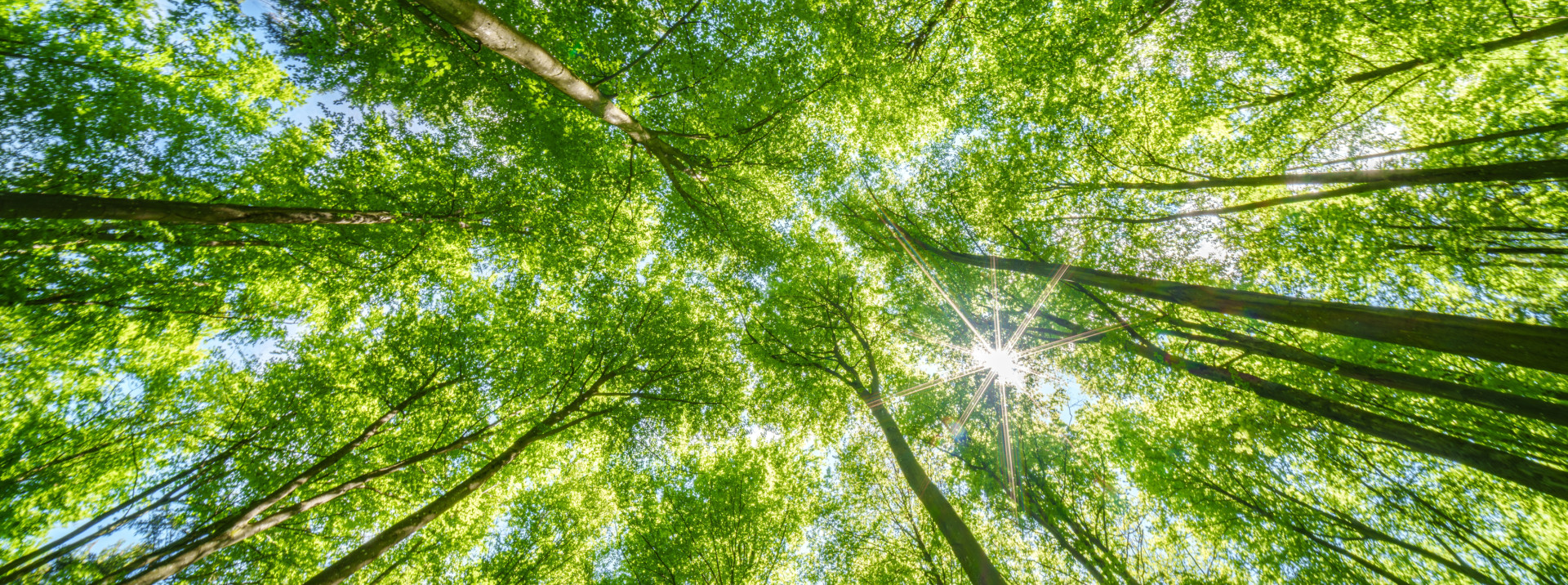 お問い合わせはこちら