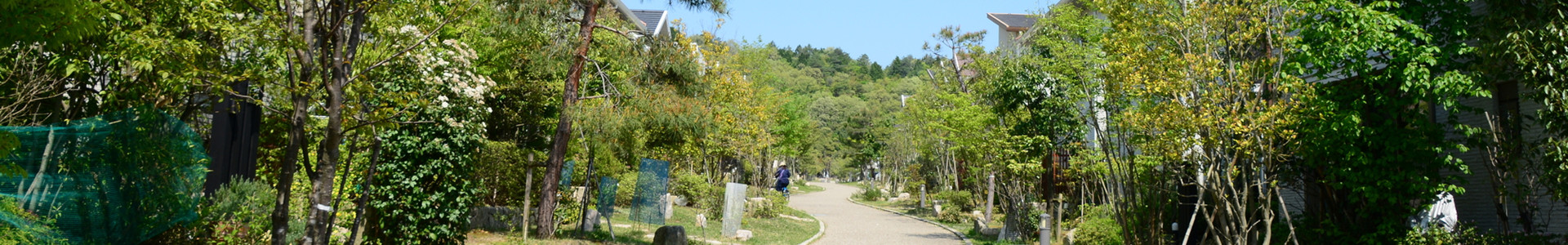 下層ページタイトルヘッダー